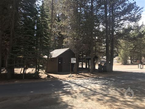 Tamarack Flat Campground, Yosemite National Park, CA - Latest Reviews ...