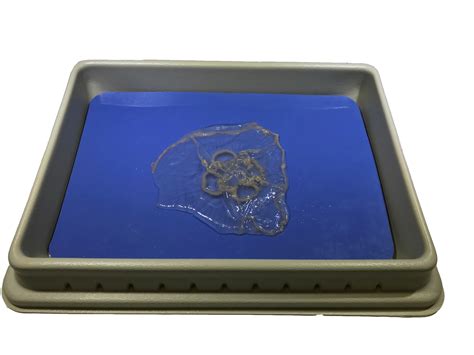 Aurelia Jellyfish Umbrella