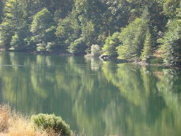 Dynamical systems theory Dynamical Systems Examples 的图像结果