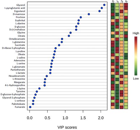 spin winner vip chart