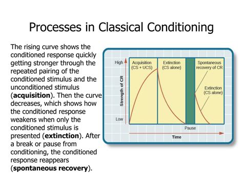 Higher Order Classical Conditioning