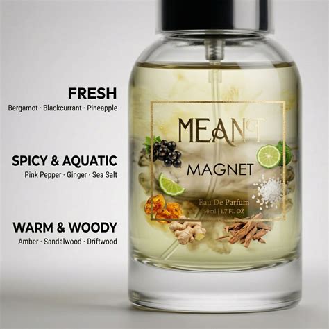Best Unisex Perfume in India (Fresh Daily Wear) | MEANT Magnet
