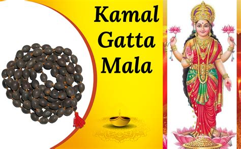Divya Spiritual 108 Big Lotus Seeds Kamal Gatta Japa Mala for Laxmi ...