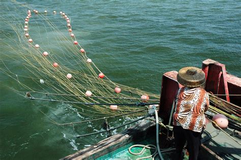 舟山渔二代群体：我们在互联网上卖海鲜_央广网