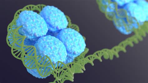 Mysterious 'cryptic' molecules made by zombie cells may drive aging, scientists say | Live Science
