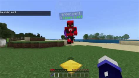 Image result for Minecraft 3rd Life Mod
