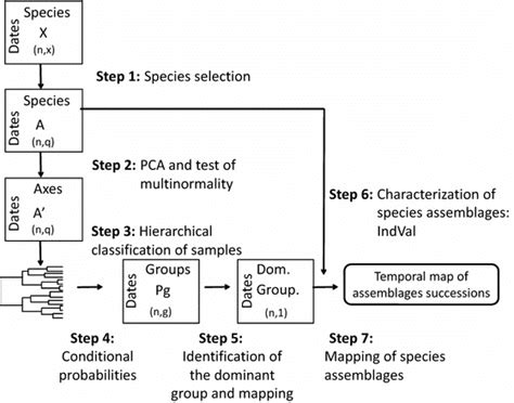 Image result for Statistical Method Example