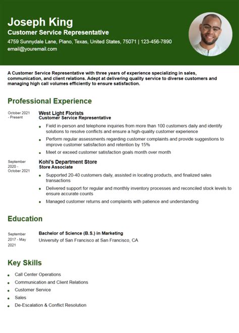 Resume Examples Free 的图像结果