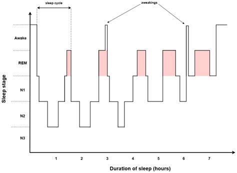 REM-OSA as a Tool to Understand Both the Architecture of Sleep and ...