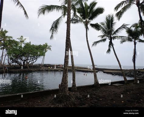 Image result for Spring-Fed Pool