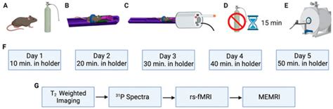 Biosensors | Special Issue : In Vivo Imaging and Sensing of Biomarkers