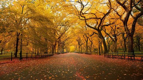 Image result for Autumn Homework EYFS