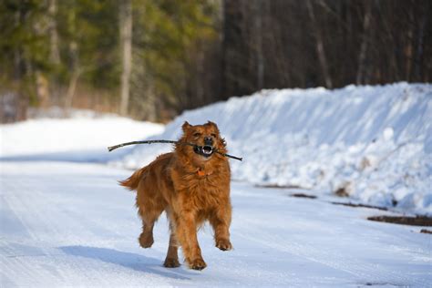Snow and Trail Conditions - Rusk County Wisconsin : Rusk County Wisconsin
