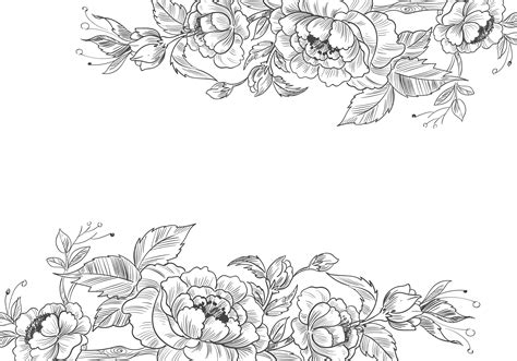 Hand Drawn Flowers Png | Best Flower Site