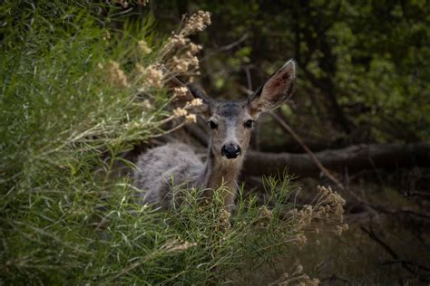 Costs & Where To Do It: 10 Things To Know About Camping In Zion National Park