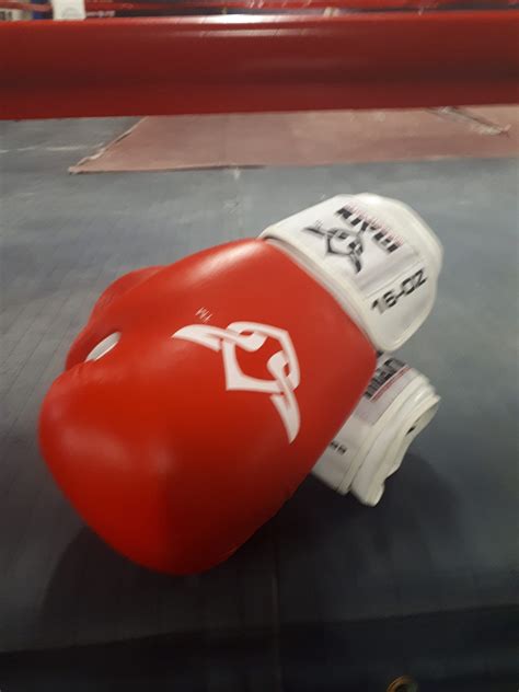 Red 16 ounce gloves - Serious Fitness