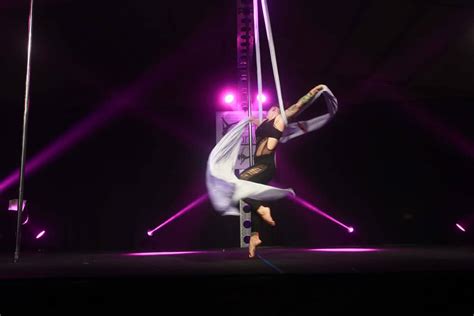 Image result for Aerial Dance Performance