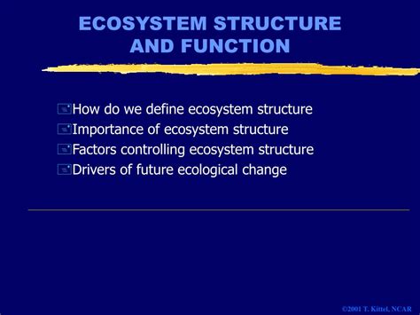 Image result for Ecosystem Structure and Function