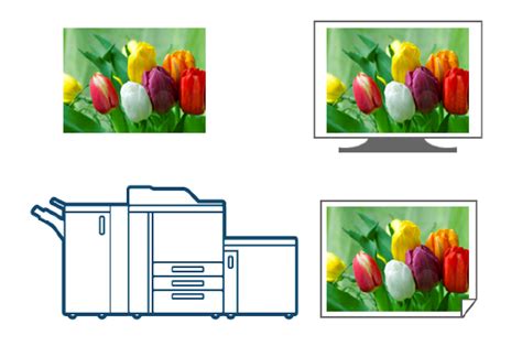 Image result for Color Management CS6 Tutorial
