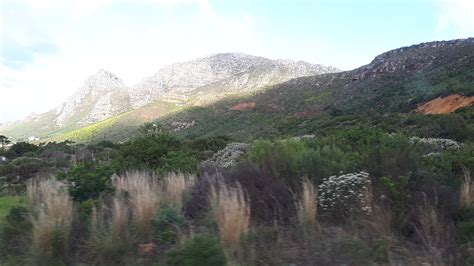 南非 的图像结果