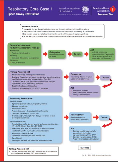 Image result for Pals Respiratory Distress Algorithm