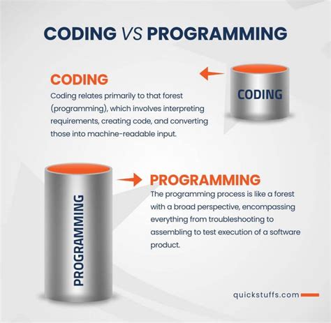 Image result for Coding V Programming