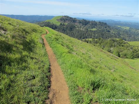 Bay Area Ridge Trail in Russian Ridge