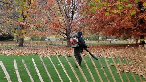 States and towns consider banning gas-powered leaf blowers and lawn mowers Minimalist