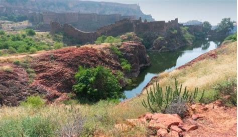 These Villagers In Rajasthan Fought Climate Change By Transforming A ...