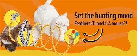 Buy BarkButler x FOFOS Safari Spiral Tunnel - Yellow, with Real ...