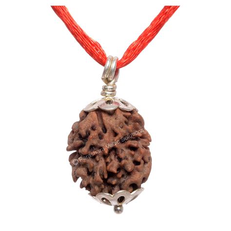 Arkam - Premium range of spiritual products|ARKAM Two Mukhi Oval ...
