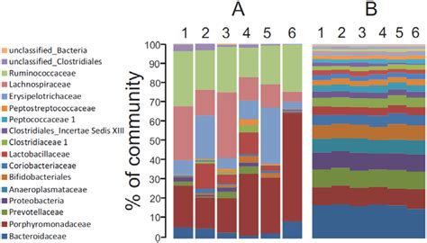Nutrients | Special Issue : Microbiome and Human Health