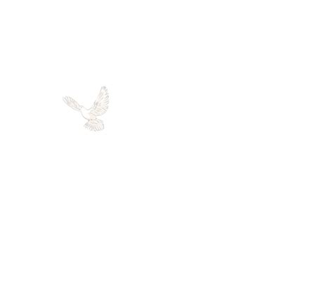 Timeless Funeral Home | DeWitt AR funeral home and cremation