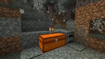 Chest Colorizer 的图像结果