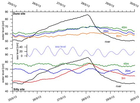 Aquifer Response to Estuarine Stream Dynamics