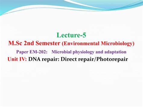 Repairing DNA 的图像结果
