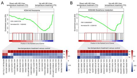 Insects | Special Issue : Biology and Conservation of Honey Bees