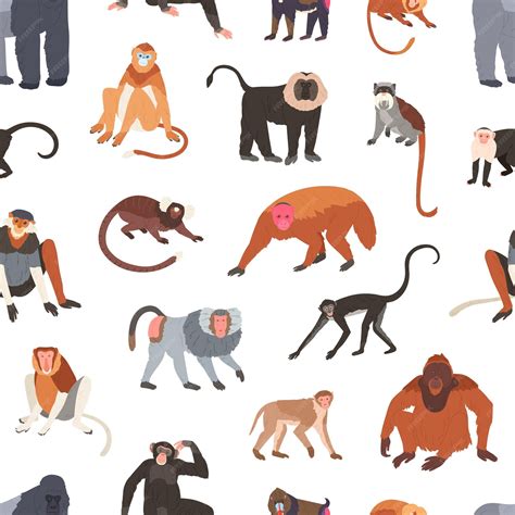 Species Of Apes