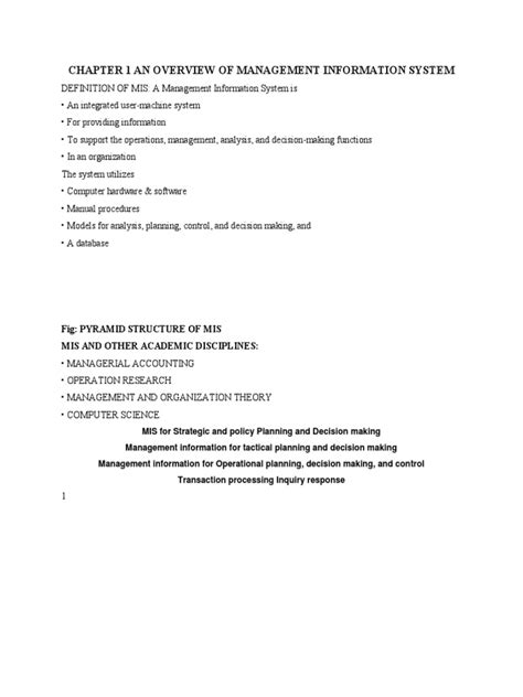 Management Information System Pyramid 的图像结果