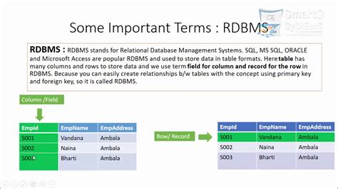 RDBMS Database 的图像结果