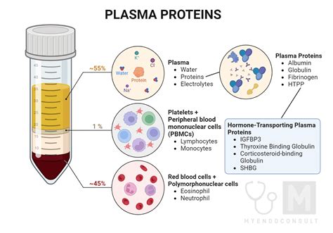 What Happens When Your Blood Is Low In Protein at Melanie Driscoll blog