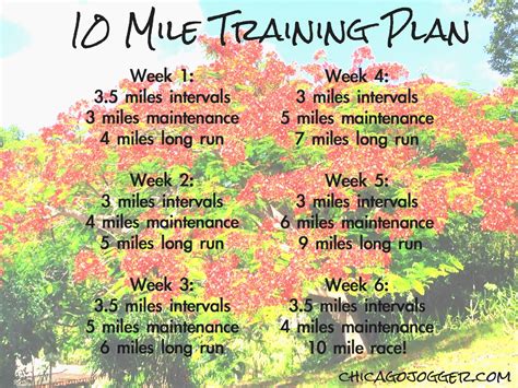 Printable 10 Mile Training Plan - Printable Word Searches