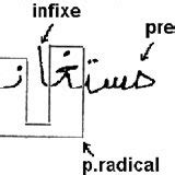 Image result for Algorithm Structure for C++