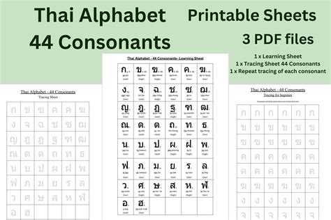 Thai Alphabet Chart Printable