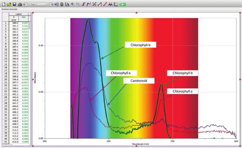 Absorbance Spectrum Graph 的图像结果
