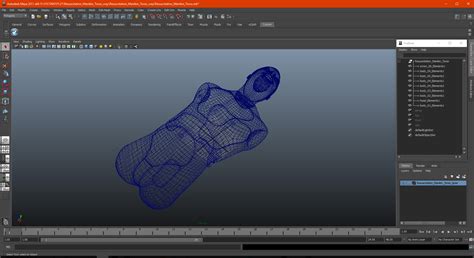 Resuscitation Manikin Torso 3D | 3D Molier International