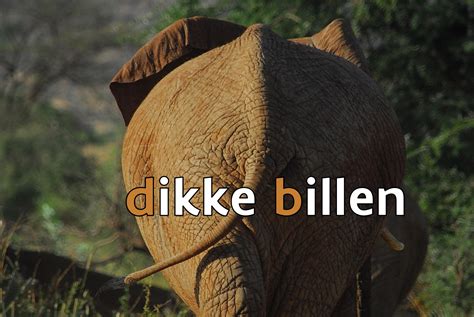 Presentatie bij dikke billen bingo - Downloadbaar lesmateriaal - KlasCement