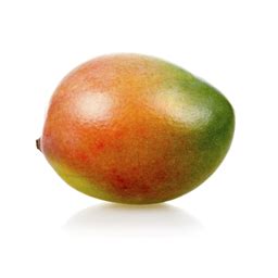 Image result for Mango Mod Menu.dll