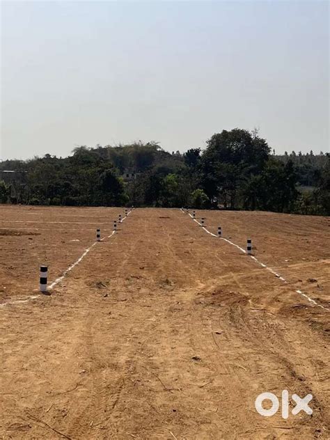 Majhipali Newton college near BISIPALI 6 DCML General plot sale - Lands ...