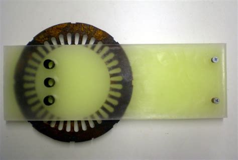 Image result for Wax Rust